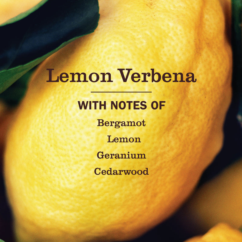 Mrs. Meyer's Lemon Verbena Soy Candle Large
