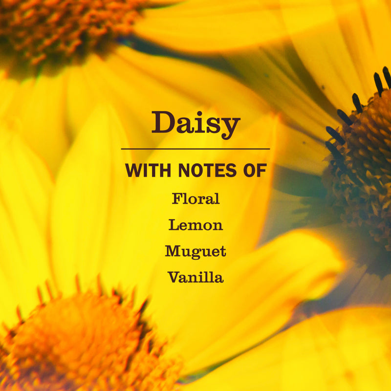 Mrs. Meyer's Daisy Dish Soap 3-count bundle