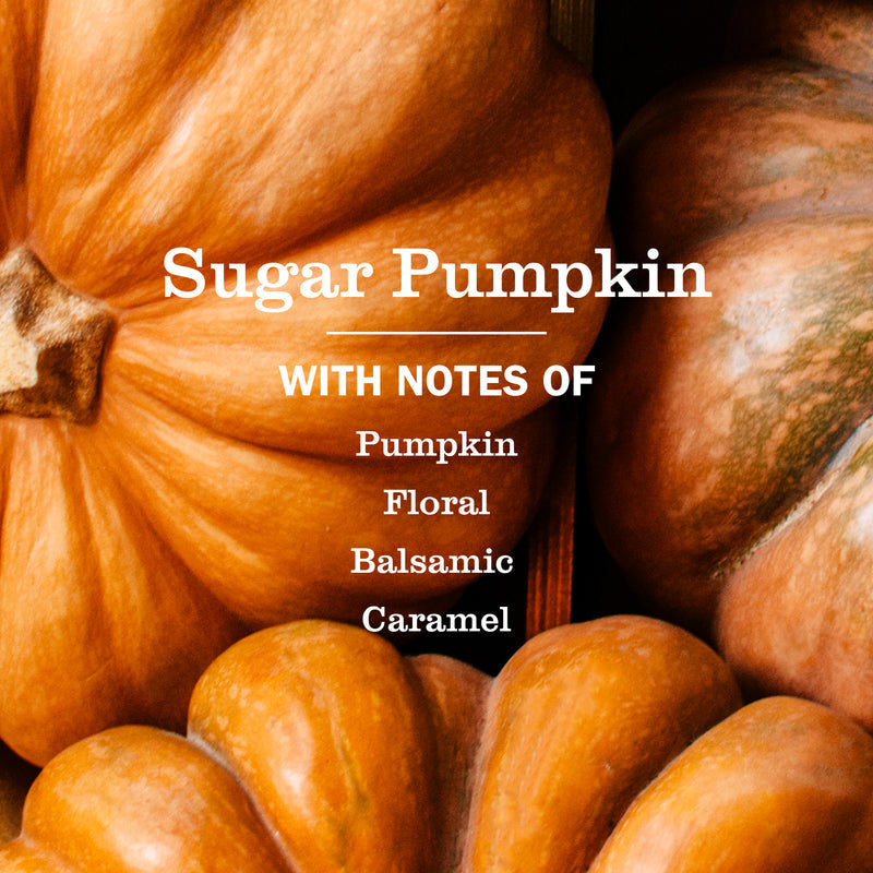 Sugar Pumpkin Dish Soap