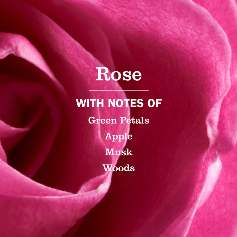 Rose Dish Soap | Mrs. Meyer's