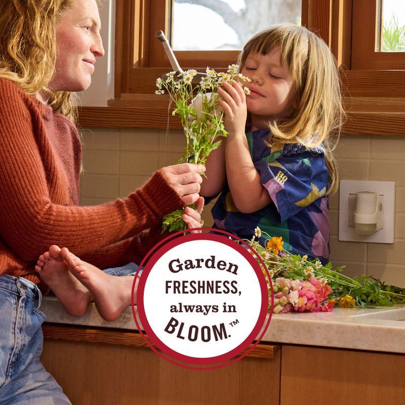 Snowdrop Plug In Scented Oil Warmer With Refill