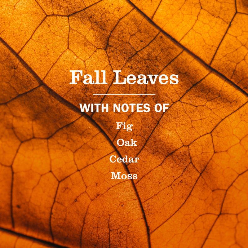 Mrs. Meyer's Fall Leaves Multi-Surface Everyday Cleaner 3-count Bundle