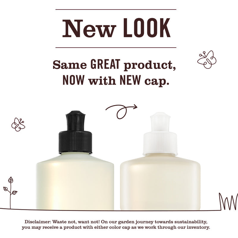 Mrs. Meyer's Acorn Spice Dish Soap 3-count bundle