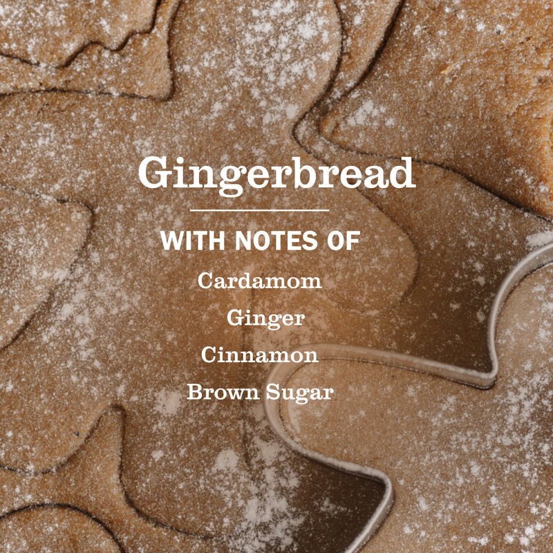 Gingerbread Multi-Surface Everyday Cleaner