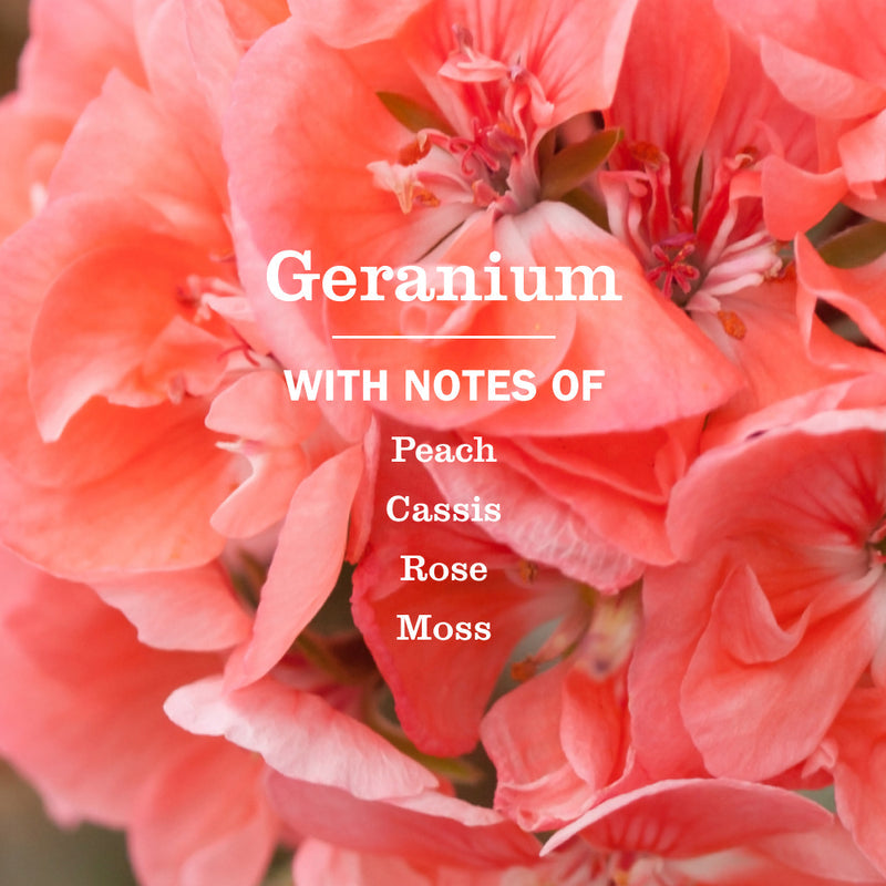 Mrs. Meyer's Geranium Dish Soap