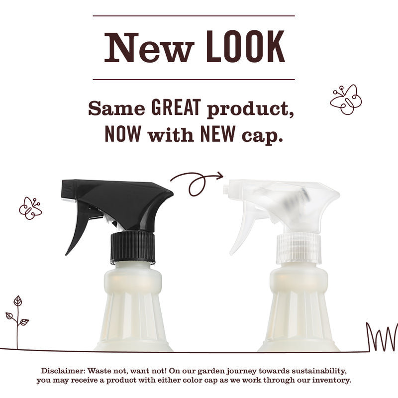 Rain Water Multi-Surface Everyday Cleaner