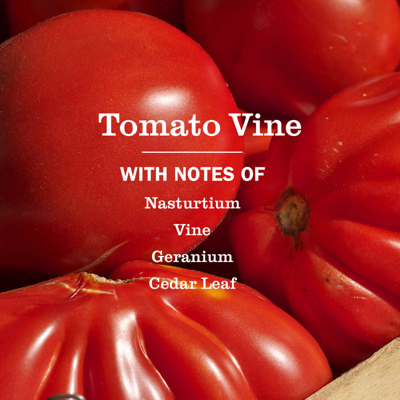 Mrs. Meyer's Tomato Vine Kitchen Basics Set