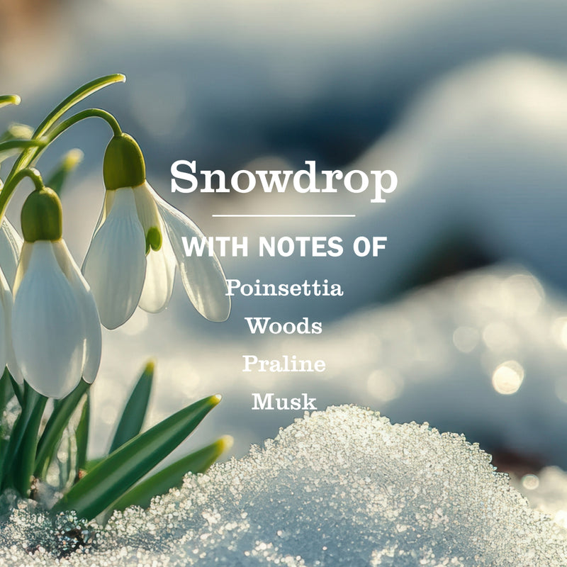 Snowdrop Plug In Scented Oil Refill 2-Pack