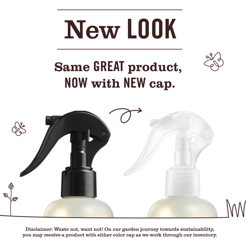 Mrs. Meyer's Mint Room Freshener