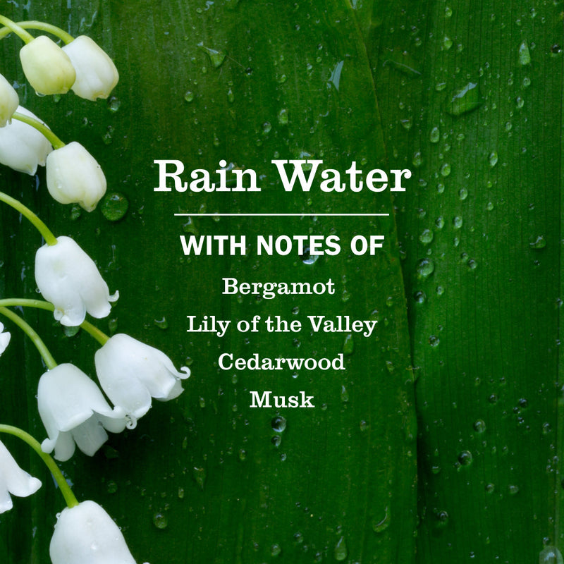 Mrs. Meyer's Rain Water Dish Soap Refill