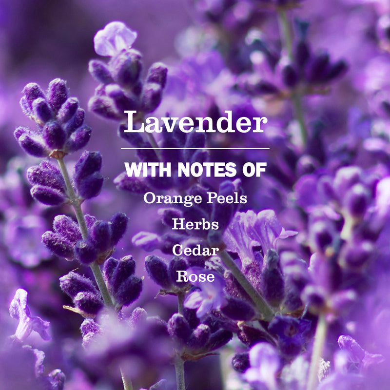 Mrs. Meyer's Lavender Probiotic Drain Maintenance