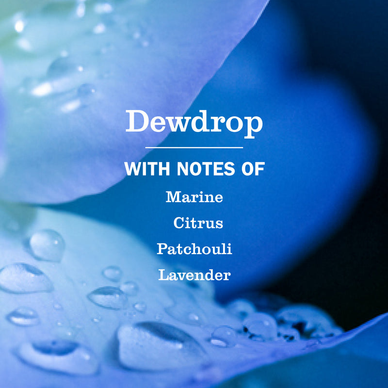 Dewdrop Kitchen Basics Set