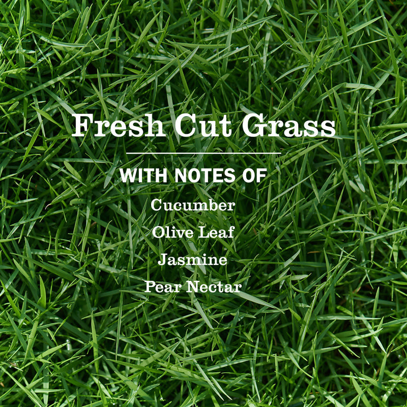 Mrs. Meyer's Fresh Cut Grass Multi-Surface Everyday Cleaner 3-count Bundle